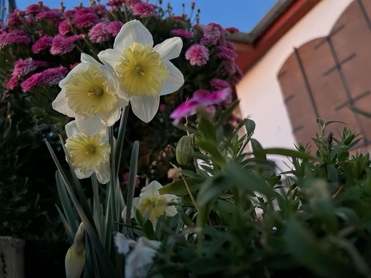 Casa Rural Vistablanca En Una Sola Planta Con Bonitas Vistas Y Piscina - Junto A La Capital Y La Alhambra Сенес де ла Вега Экстерьер фото